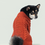 BERT CARDIGAN SWEATER - ORANGE