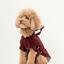 HUSTON HOODIE - DARK BURGUNDY
