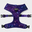 Zodiac Drip Reversible Harness
