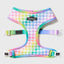 Rainbowtooth Reversible Harness