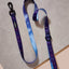 Zodiac Drip Dog Leash