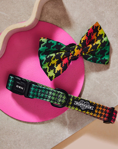 Bless Up Dog Collar & Bowtie