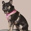 Sprinkle Me Pink Reversible Harness