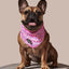 Sprinkle Me Pink Cooling Bandana