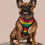 Bless Up Reversible Harness