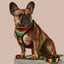 Bless Up Reversible Harness