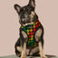 Bless Up Reversible Harness