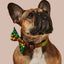 Bless Up Dog Collar & Bowtie
