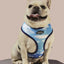 Zodiac Drip Reversible Harness