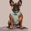 Sprinkle Me Blue Reversible Harness