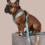 Sprinkle Me Blue Dog Leash