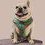 Sprinkle Me Blue Reversible Harness