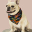Camo QT Orange Cooling Bandana