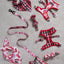 Smooch My Pooch Dog Collar & Bowtie