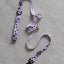 Taro Boba Dog Leash