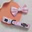 Pink Moo'd Collar & Bowtie