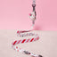 Peppermint Bark Poop Bag Holder