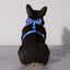 Smiling Sakura Adjustable Harness