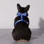 Asanoha Dog Collar & Bowtie