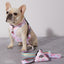 Pink Moo'd Dog Leash