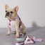 Strawberry Milk Reversible Harness