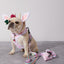 Pink Moo'd Poop Bag Holder