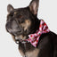Strawberry Bowtie