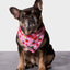 Strawberry Cooling Bandana