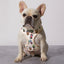 Matcha Boba Reversible Harness
