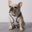 Peppermint Bark Reversible Harness