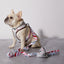 Peppermint Bark Poop Bag Holder