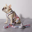 Peppermint Bark Reversible Harness