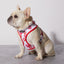 Smooch My Pooch Reversible Harness