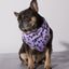 Taro Boba Cooling Bandana