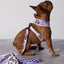 Taro Boba Reversible Harness