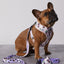 Taro Boba Reversible Harness