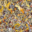 Herb Supplement For Backyard Chickens