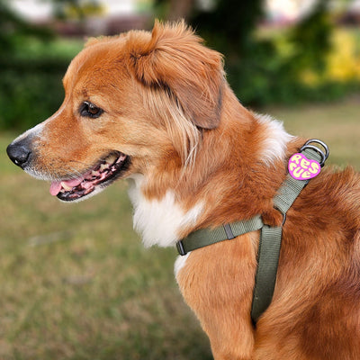 Rescue Magenta Jiby Dog Charm