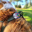 Birthday Jiby Dog Charm