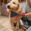 Park Day Denim Gingham Print Handmade Scrunchie