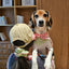 Picnic Bliss Floral Gingham Print Bandana
