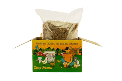 4x 3Lb (12lbs) Chubby Dried Mealworms - Coop Dreams Limited Edition Boxes