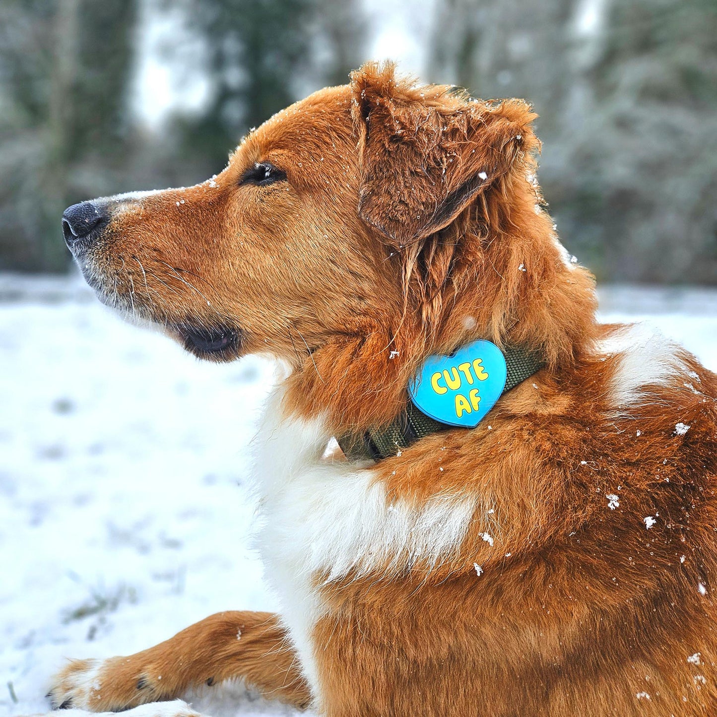 Cute AF Blue Jiby Dog Charm