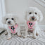 Dog Adjustable Harness - Gilmore Girls™