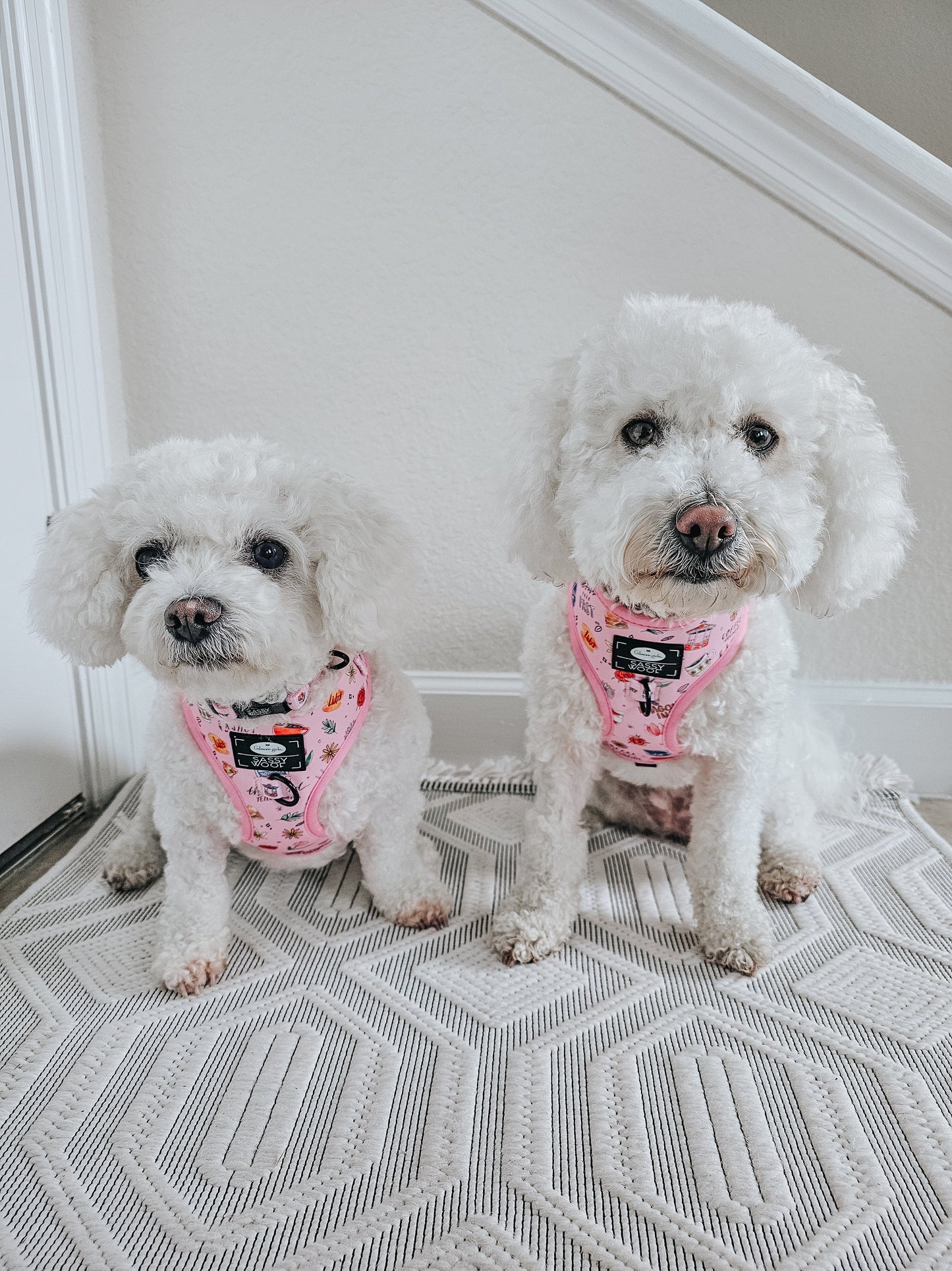 Dog Adjustable Harness - Gilmore Girls™