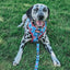 Dog Leash - Marvel’s Spider-Man