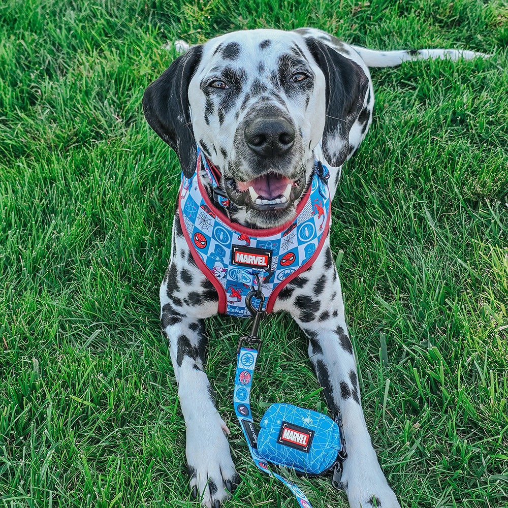 Dog Collar - Marvel’s Spider-Man