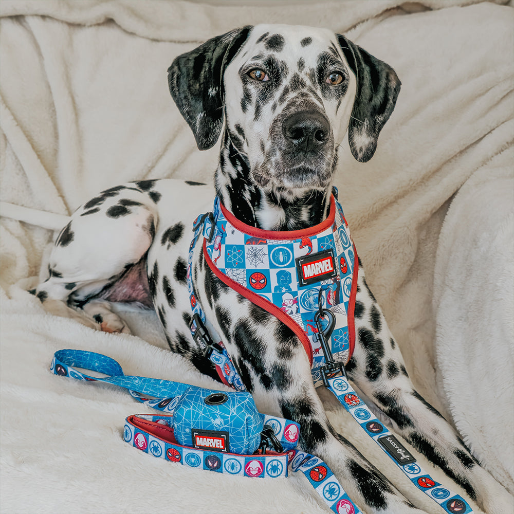 Dog Adjustable Harness - Marvel’s Spider-Man