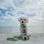 Dog Step-in Harness - Matcha