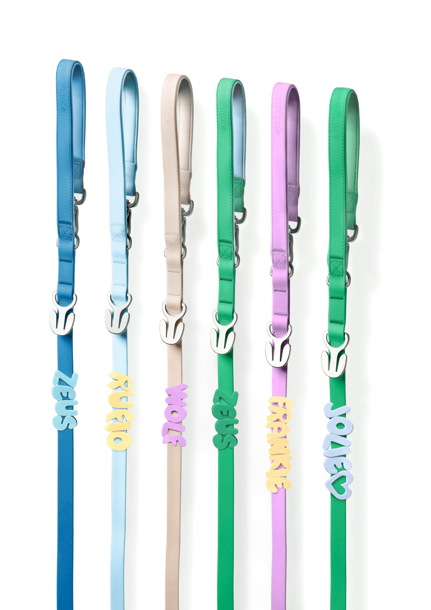 Waterproof Dog Leash - 5ft